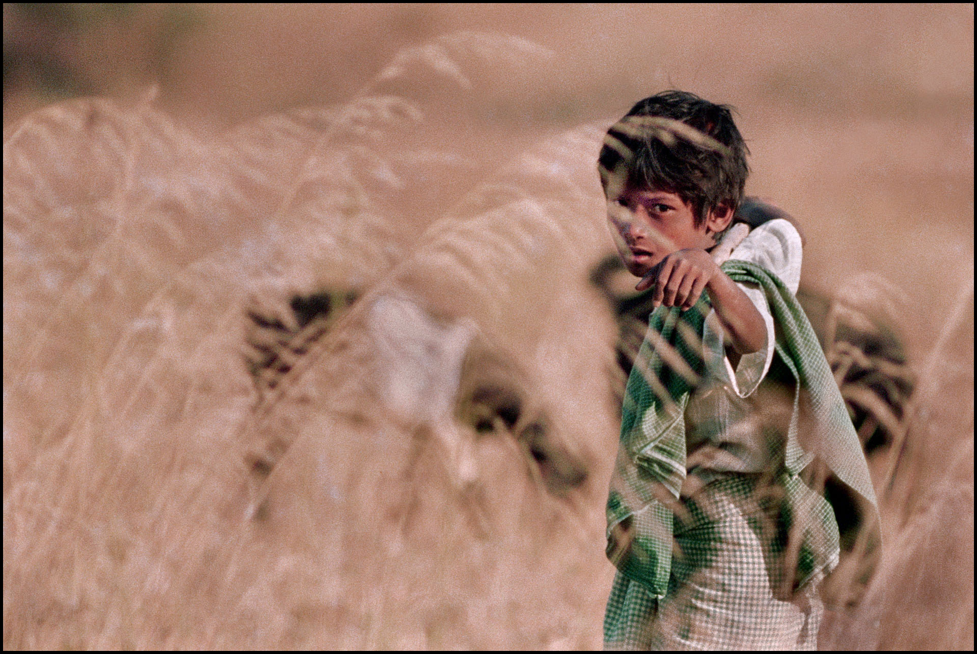 'Cattle Boy' Pagan, Burma 1992