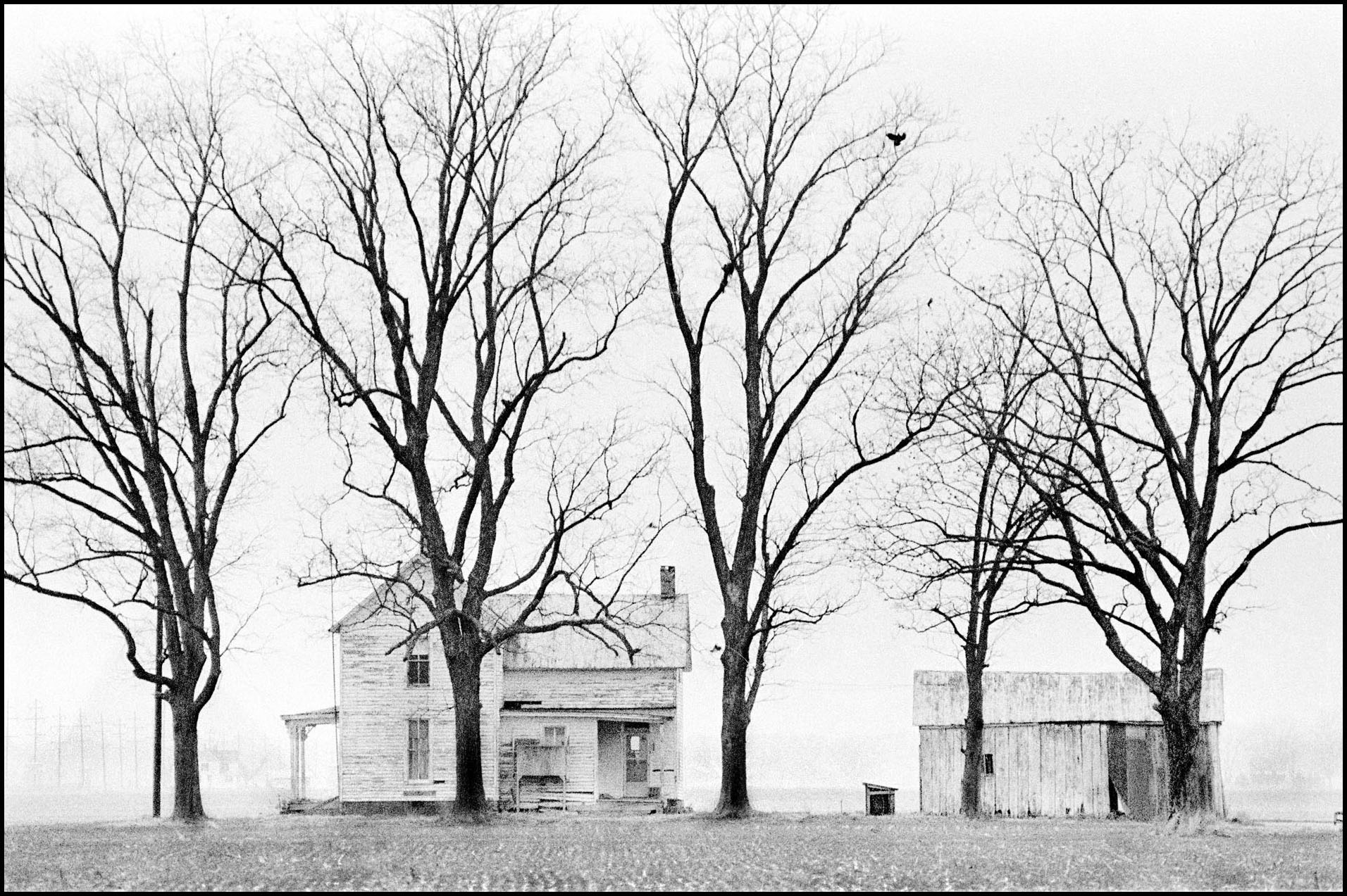 'Winter Flight' Evansville, Indiana 1981