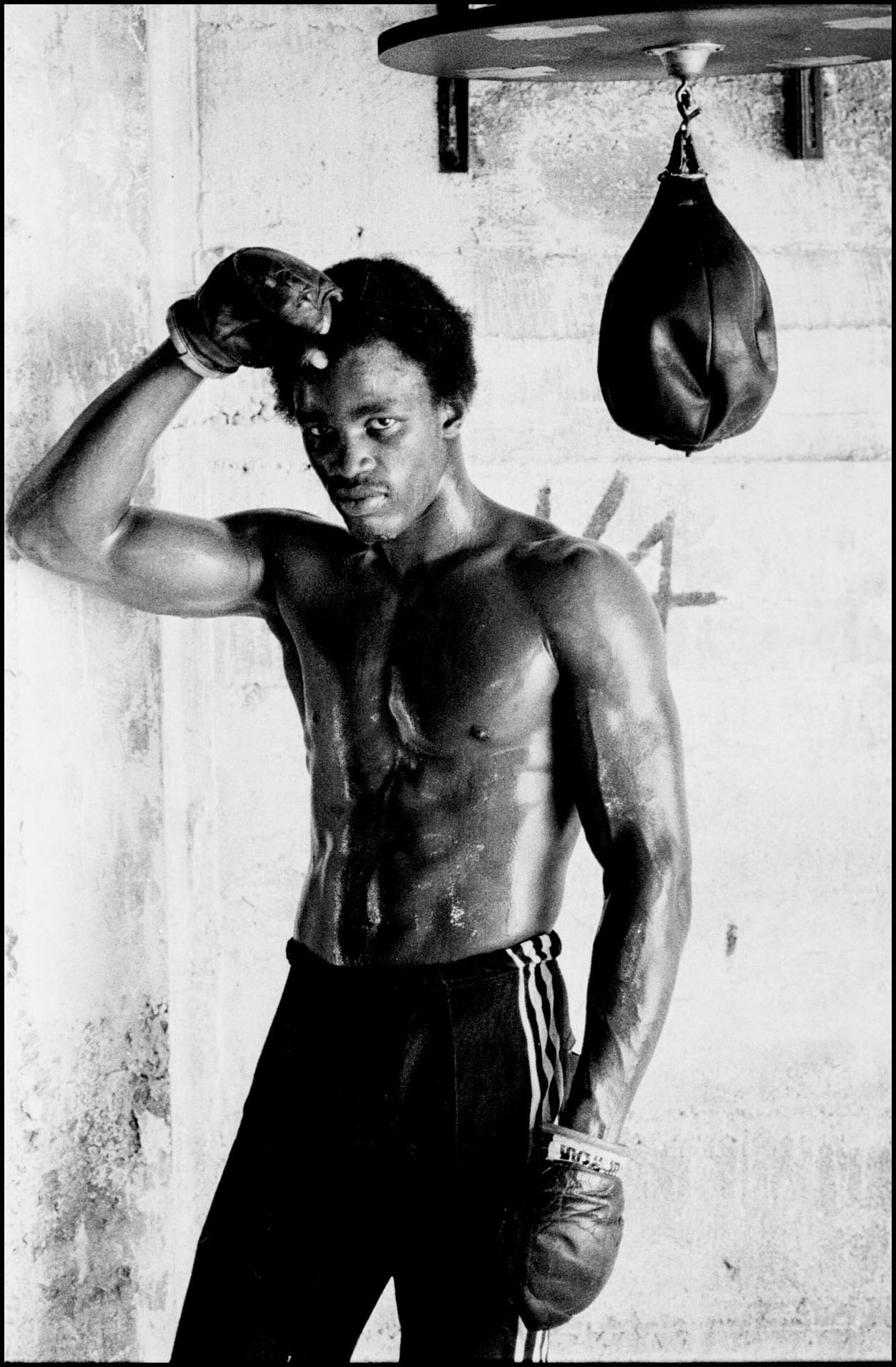 'Indiana Boxer' Evansville, Indiana 1981