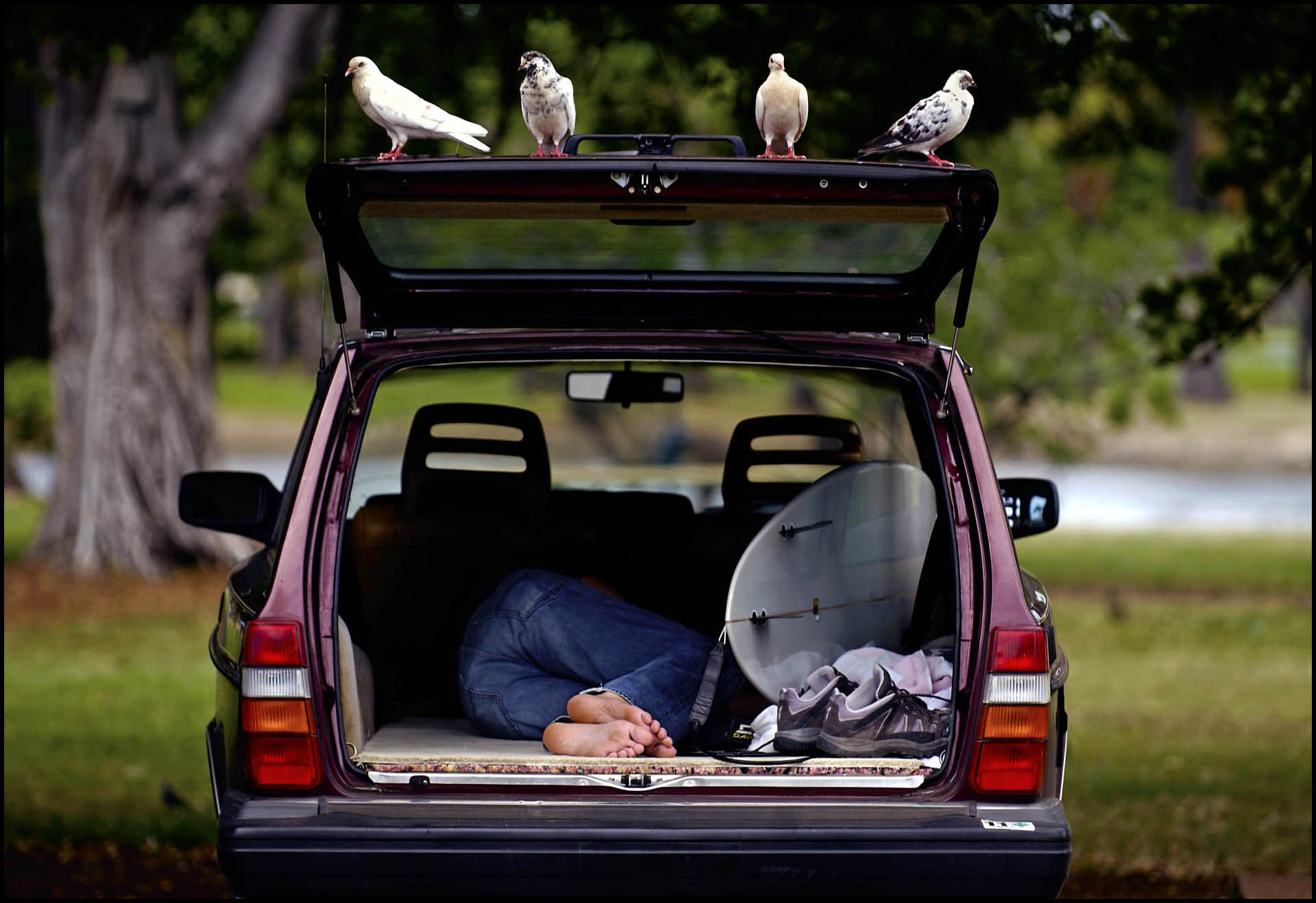 'Sleepy Surfer' Honolulu, Hawaii 2004