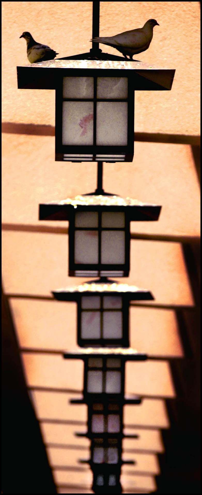 'Light Feathers' Honolulu, Hawaii 2002