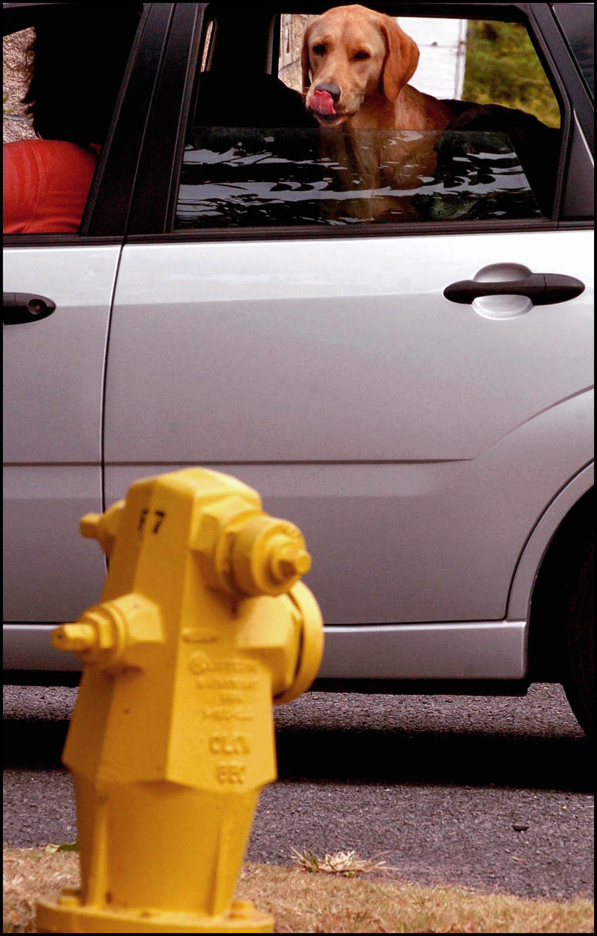 'Yearning' Kailua, Hawaii 2000