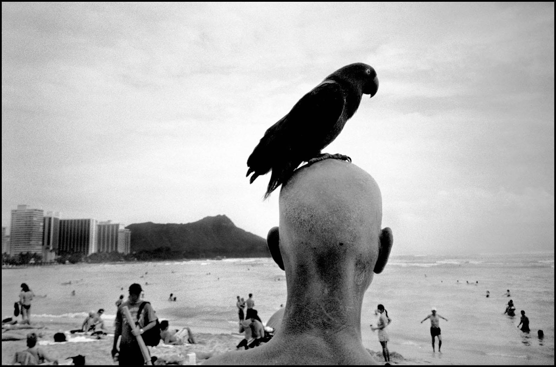 'Double Header' Waikiki, Hawaii 2008