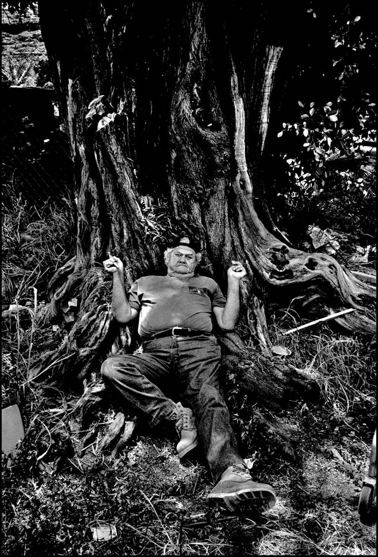 'Tree Man' Waianae, Hawaii 2008