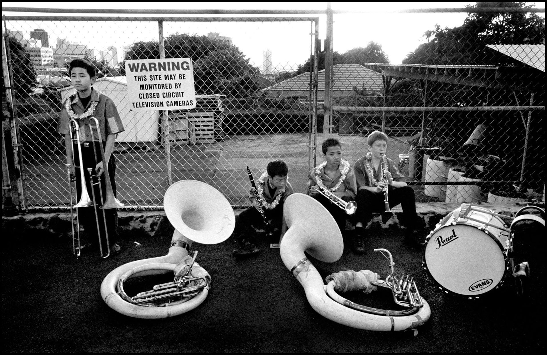 'Under Surveilance' Kahuku, Hawaii 2008