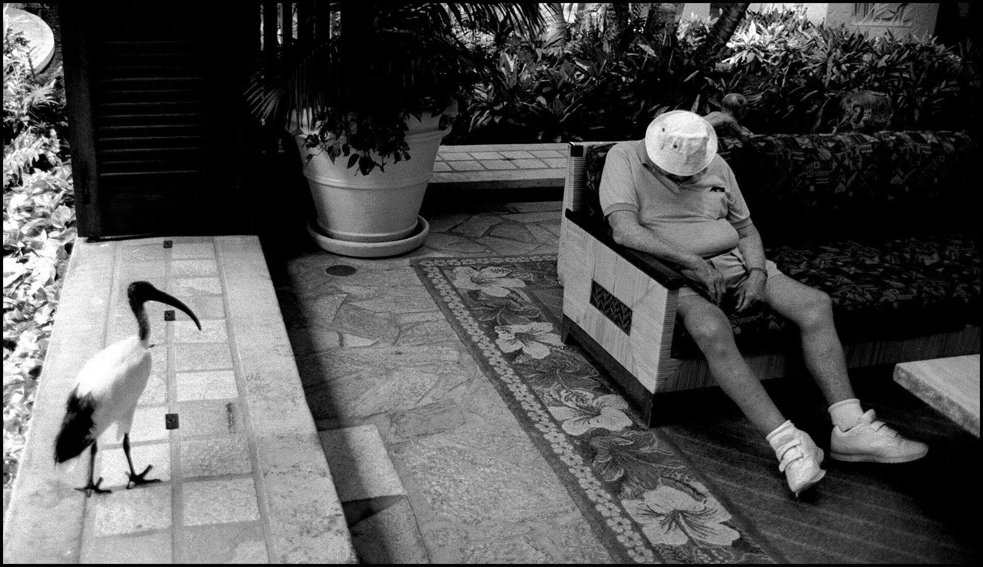 'Sleepwalker' Waikiki, Hawaii 2001