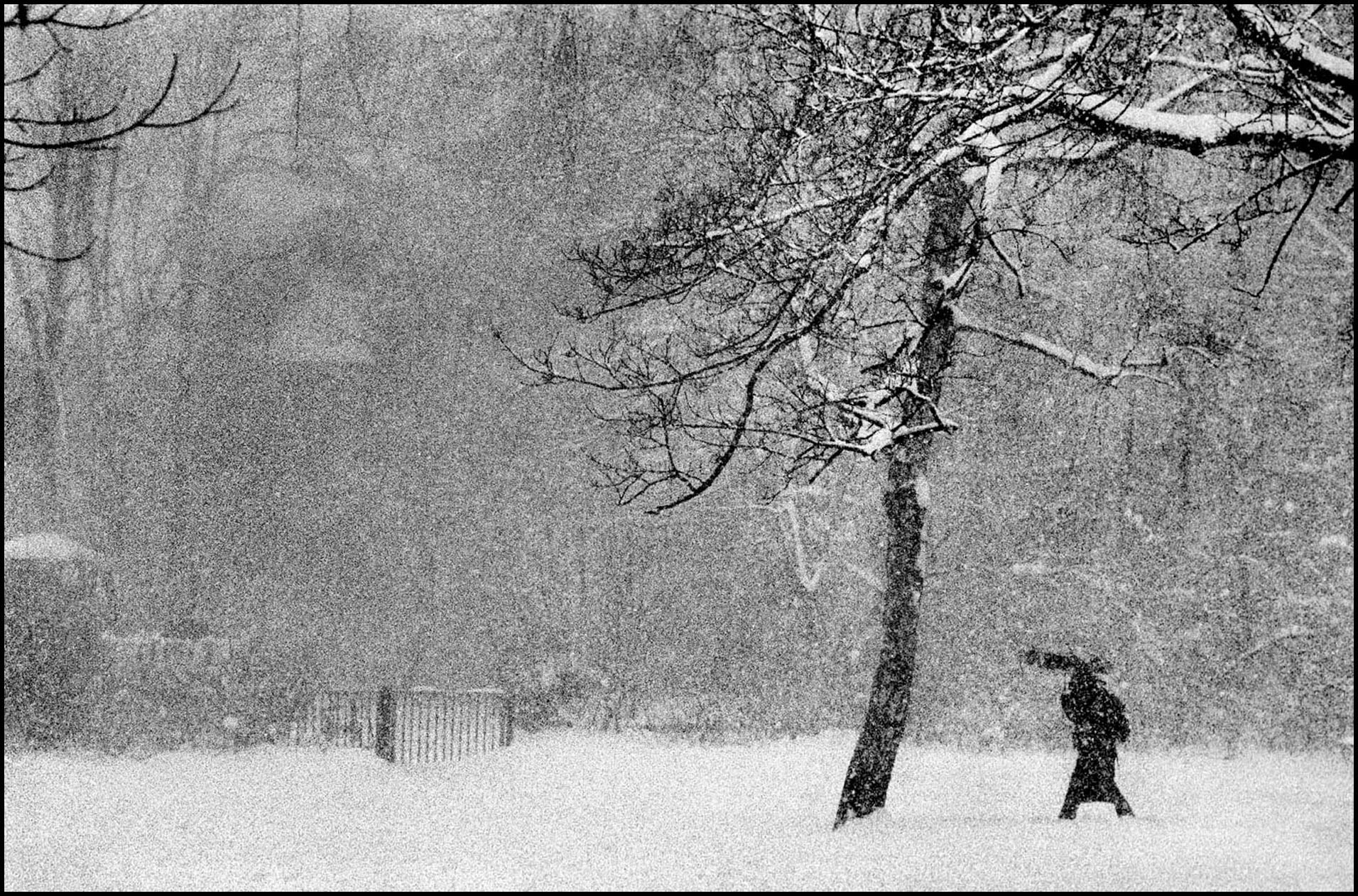 'Winter Walk' Hamburg, Germany 2014