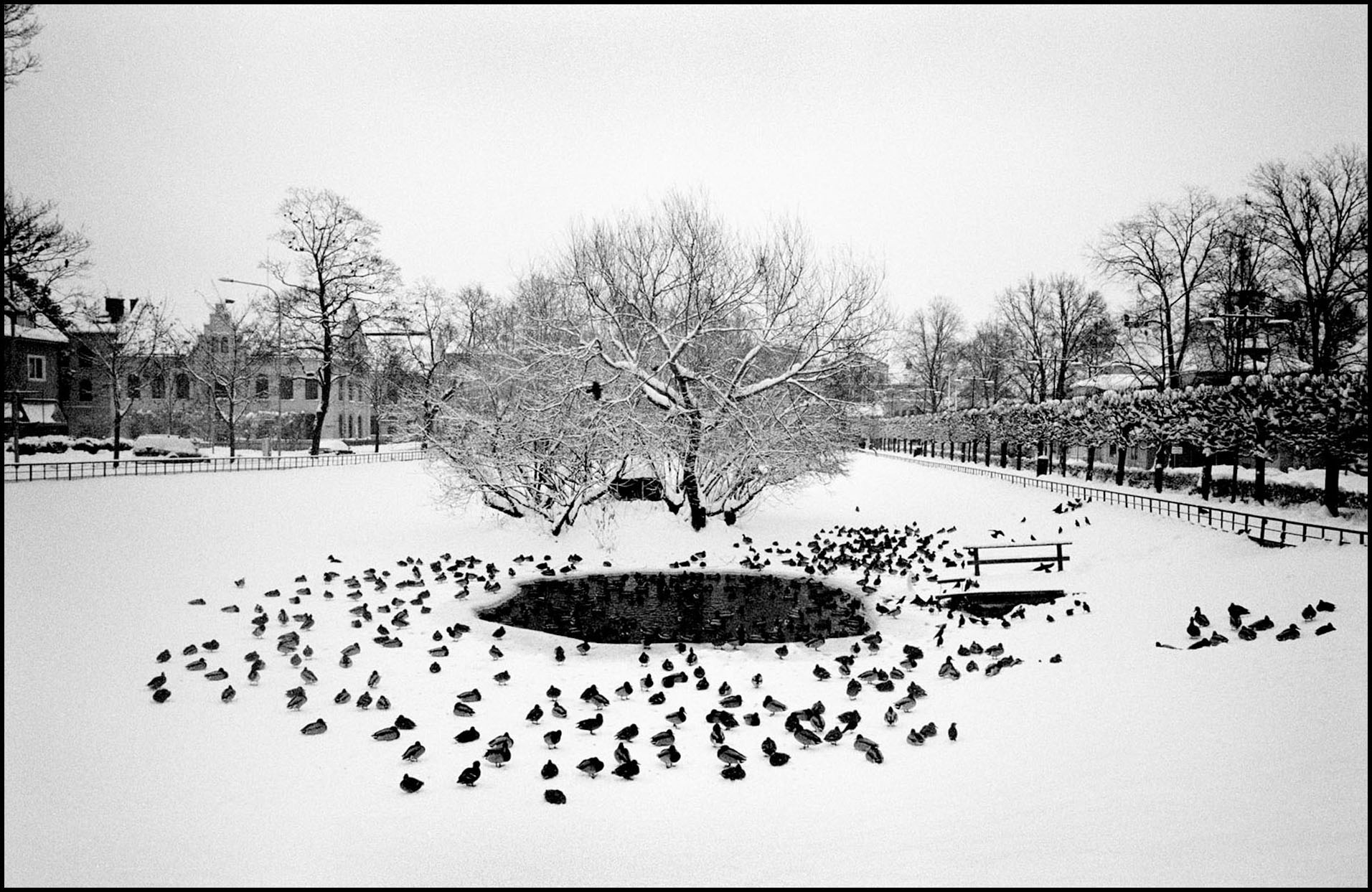 'Winter Gathering' Stockholm, Sweden 2012