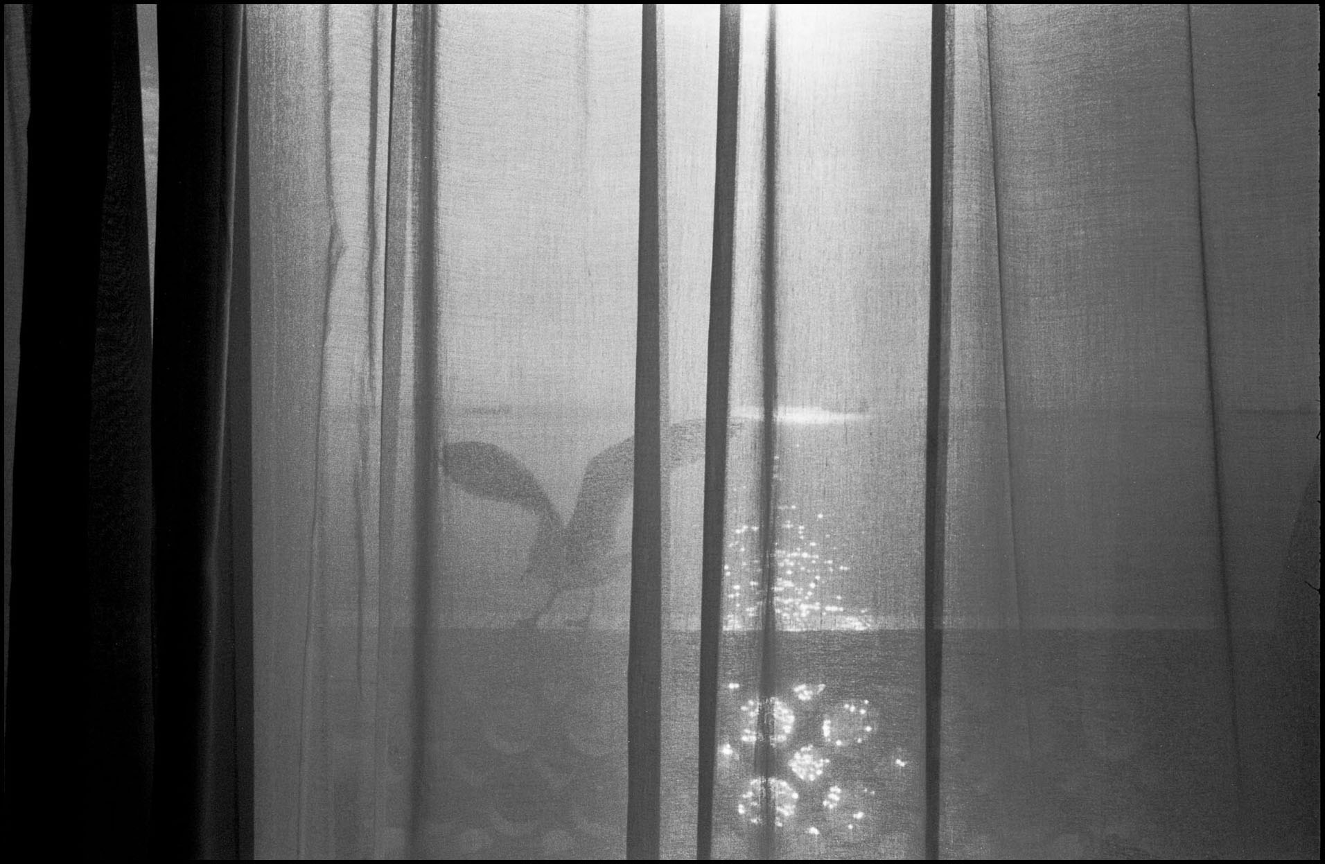 'Shades of Summer' Gibraltar, Great Britain 2012