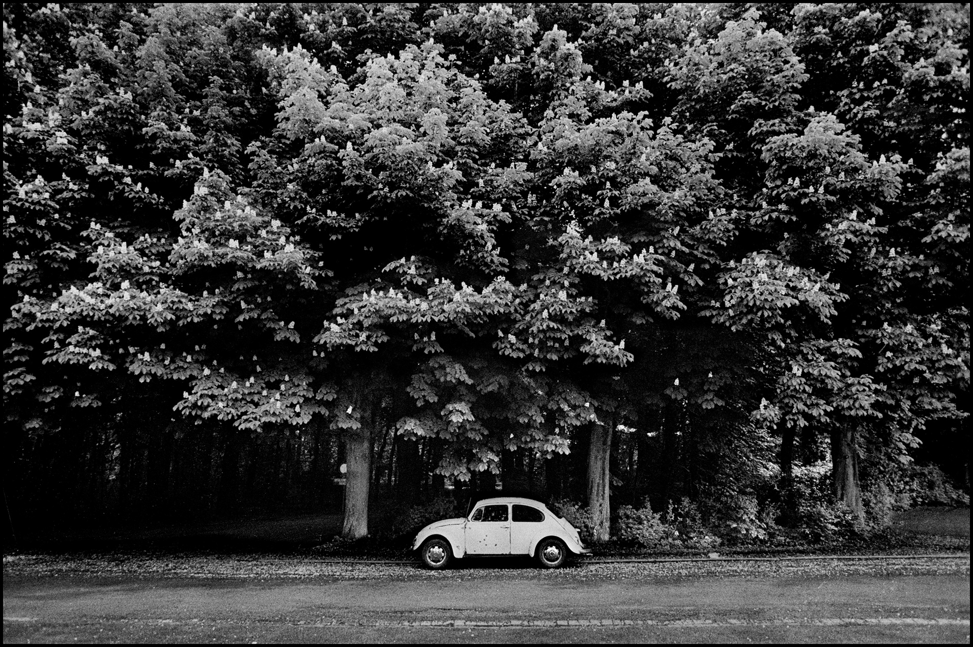 'Bug' Brussels, Belgium 1983