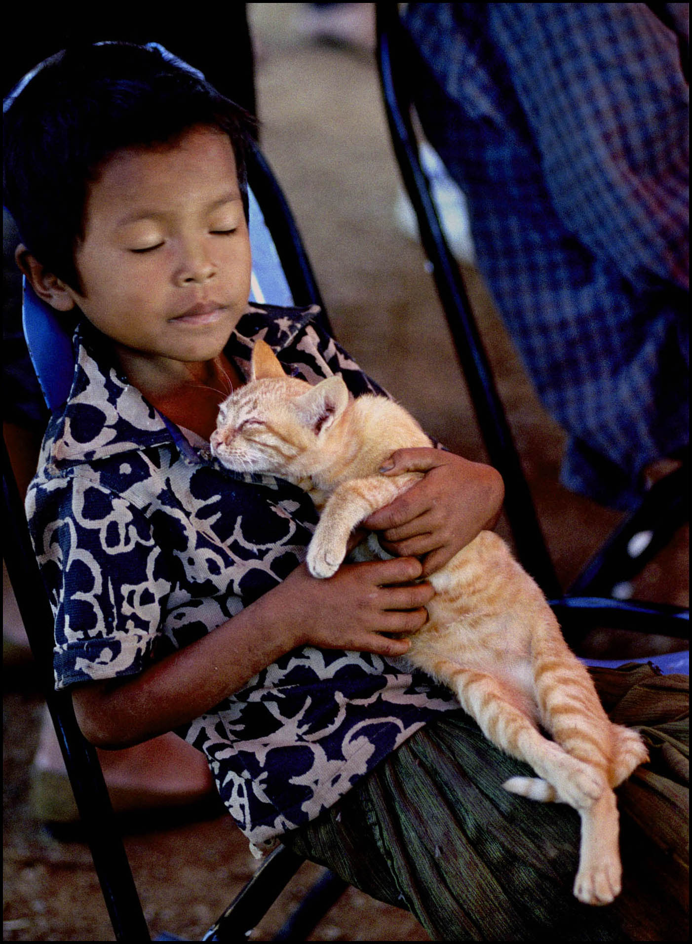 'Cat Nap' Thai-Cambodian Border